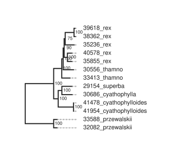 wex_raxml_tree_drawing